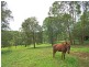 136 Tarata Road, Guanaba QLD 4210