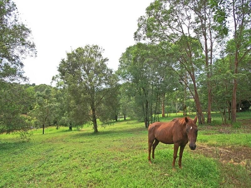136 Tarata Road, Guanaba QLD 4210