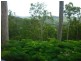 72 Wallaby Drive, Mudgeeraba QLD 4213