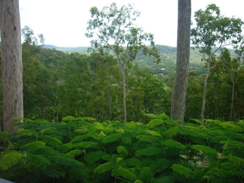 72 Wallaby Drive, Mudgeeraba QLD 4213