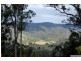 123 Mt Nimmel Road, Austinville QLD 4213