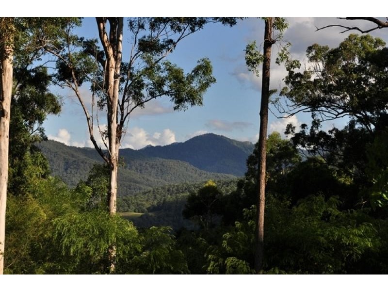 123 Mt Nimmel Road, Austinville QLD 4213