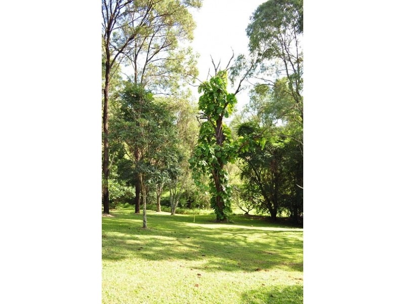 9 Veronica Drive, Tallai QLD 4213