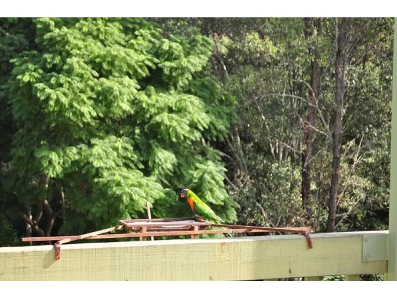 9 Veronica Drive, Tallai QLD 4213