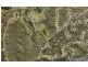 72 Wallaby Drive, Mudgeeraba QLD 4213