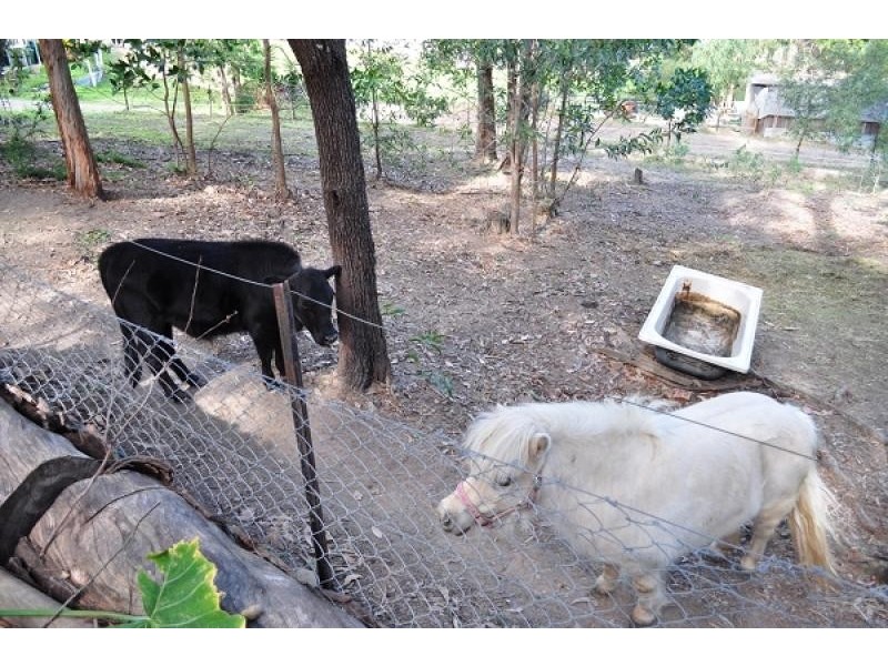 21 Otiose Court, Tallai QLD 4213