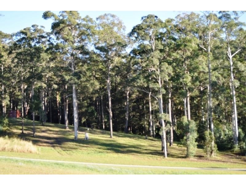 6 Finch Street, Bonogin QLD 4213