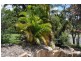 12 Springtime Court, Mudgeeraba QLD 4213