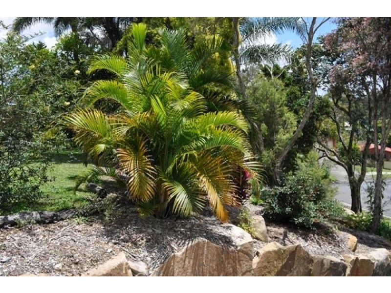 12 Springtime Court, Mudgeeraba QLD 4213