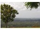 136 Strawberry Road, Mudgeeraba QLD 4213