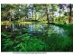 167 Tarata Road, Guanaba QLD 4210