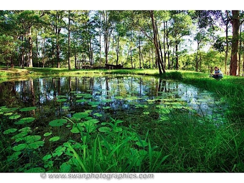 167 Tarata Road, Guanaba QLD 4210