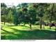 167 Tarata Road, Guanaba QLD 4210