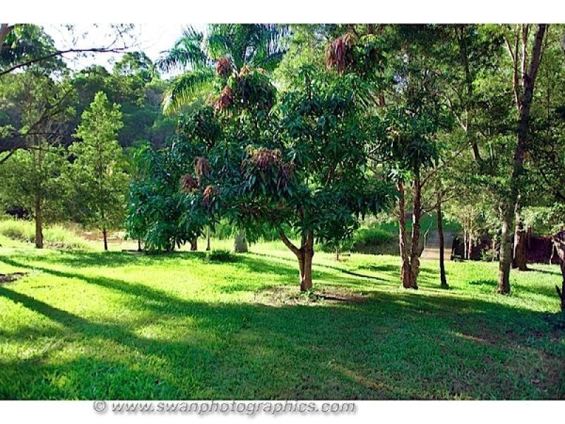 167 Tarata Road, Guanaba QLD 4210