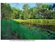 167 Tarata Road, Guanaba QLD 4210