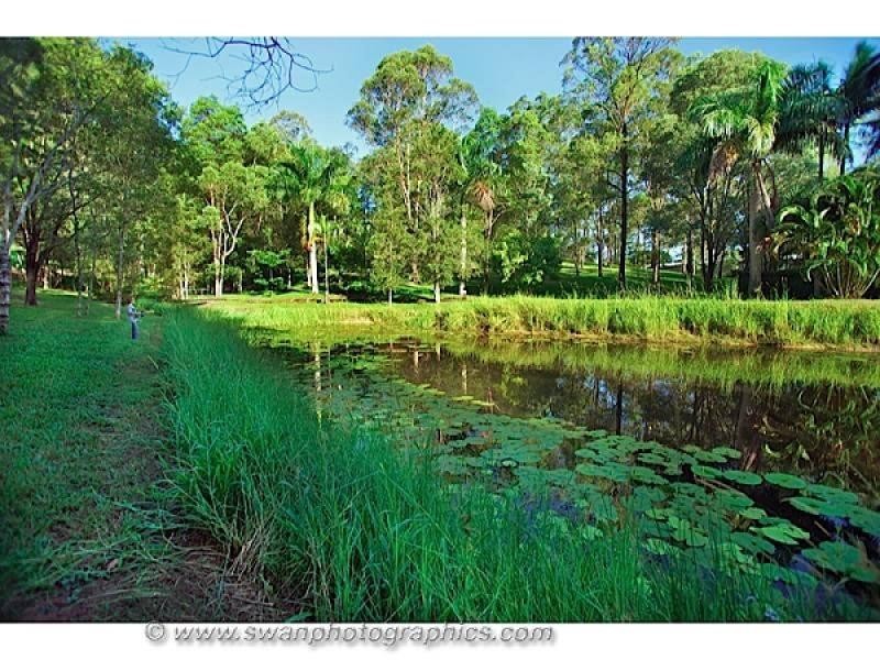 167 Tarata Road, Guanaba QLD 4210
