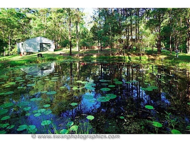 167 Tarata Road, Guanaba QLD 4210