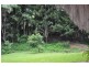 56 Tallai Road Tallai, Tallai QLD 4213