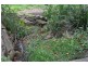 56 Tallai Road Tallai, Tallai QLD 4213