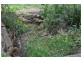 56 Tallai Road Tallai, Tallai QLD 4213