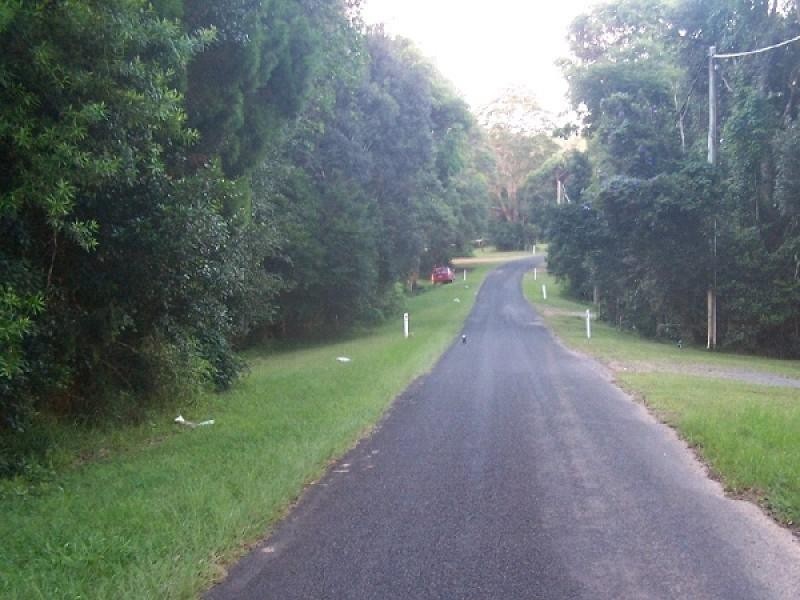 53 Lyrebird Ridge Road, Springbrook QLD 4213