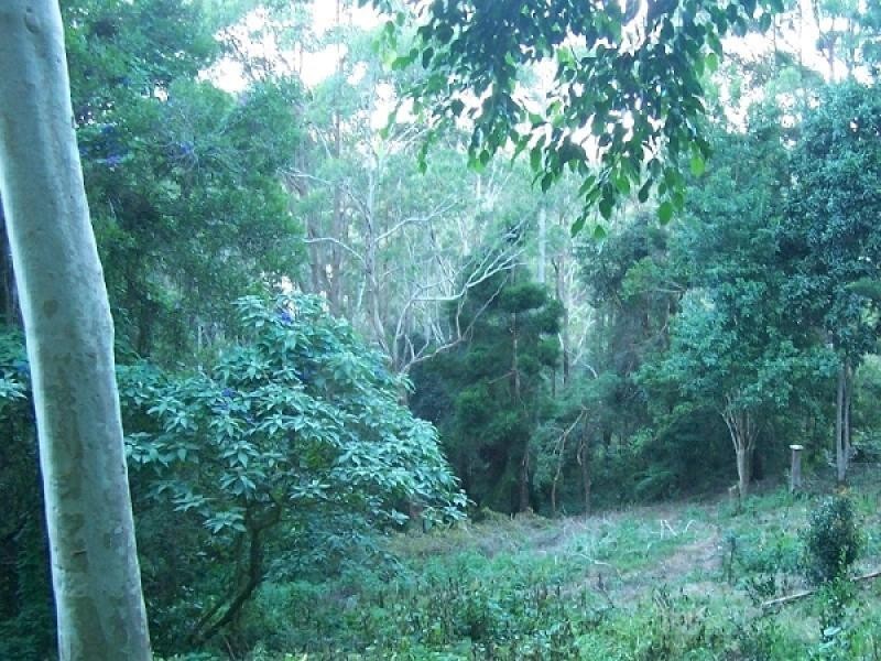 53 Lyrebird Ridge Road, Springbrook QLD 4213