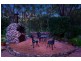 44 Harry Mills Drive, Worongary QLD 4213