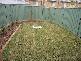Rosehill NSW 2142