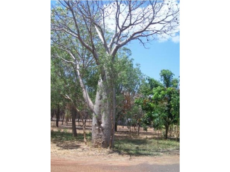 Kununurra WA 6743