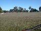 Abbotsford QLD 4670