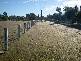 Abbotsford QLD 4670