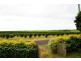 920 Elliott Heads Rd, Bundaberg QLD 4670