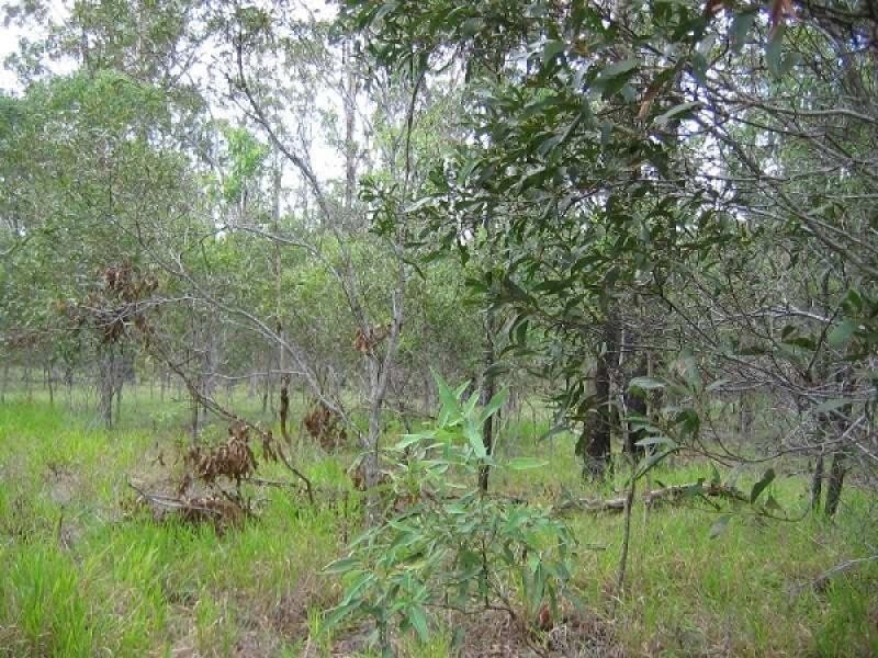 51 Billabong Way, Bucca QLD 4670