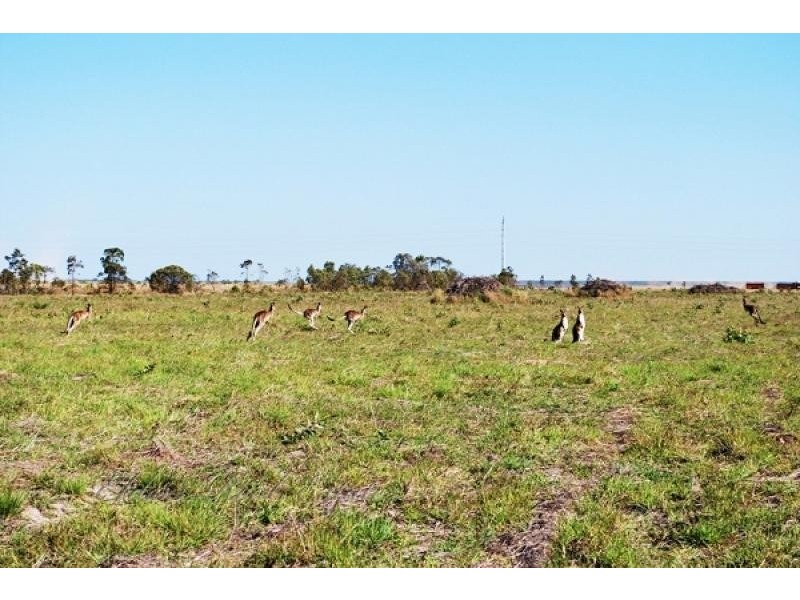 15 Black Beauty Court, Kensington QLD 4670