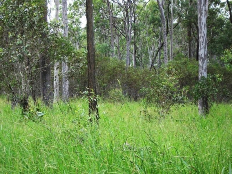 8 Billabong Way, Bucca QLD 4670