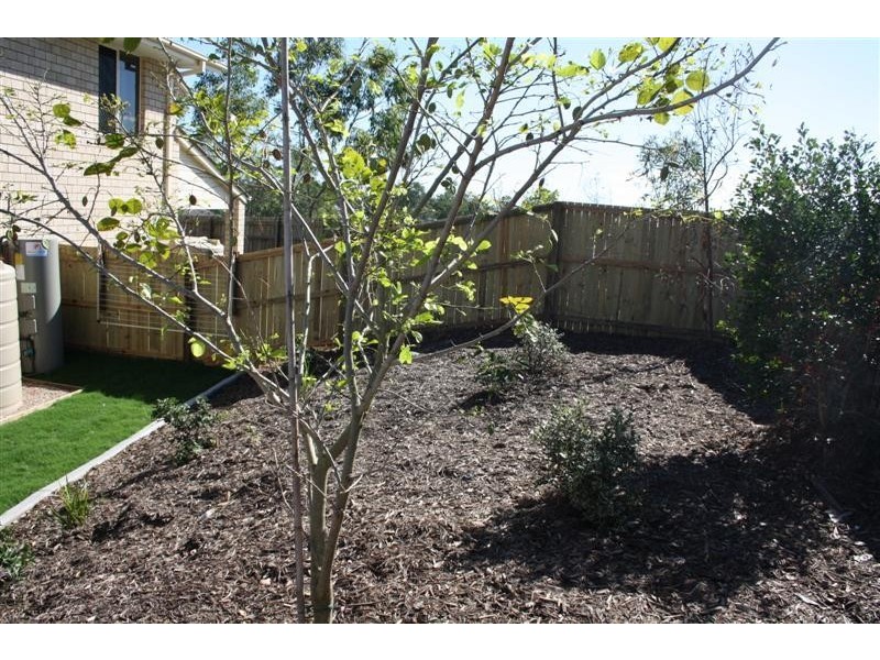 24 Success Street, Ormeau QLD 4208