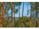 38 Penelope Drive, Cornubia QLD 4130
