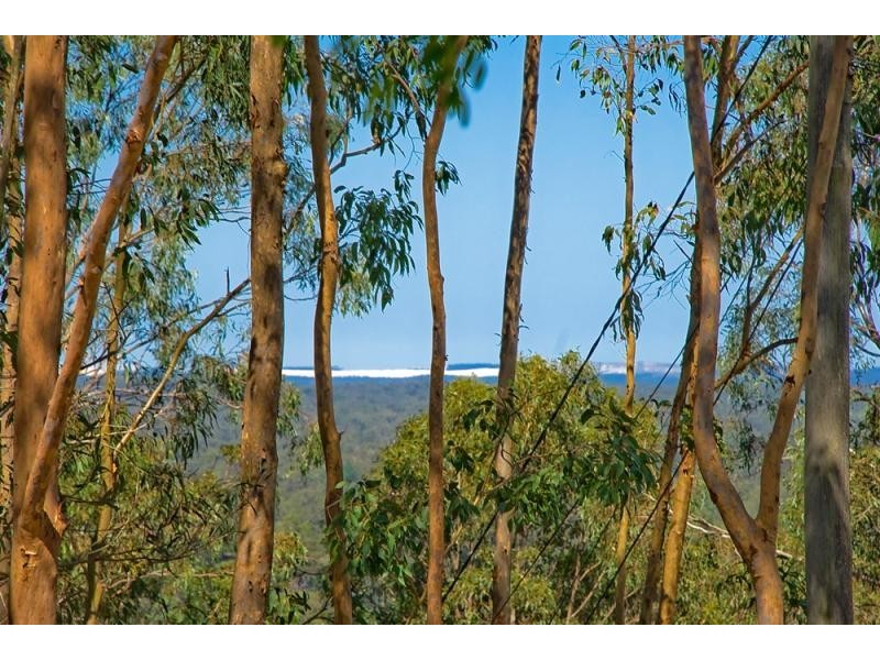 38 Penelope Drive, Cornubia QLD 4130