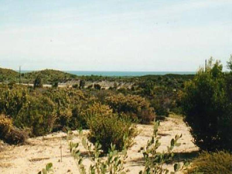 Lancelin WA 6044