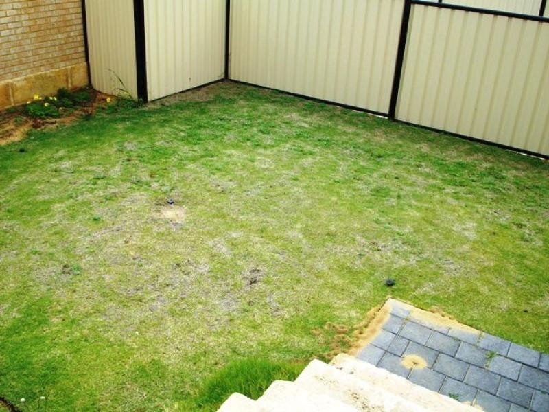 157 Ocean Keys Blvd, Clarkson WA 6030