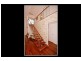 8 Magill Street, Landsdale WA 6065