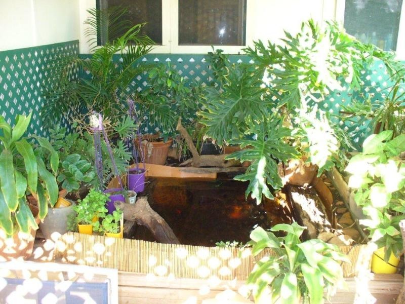 23 Consols Road, Meekatharra WA 6642