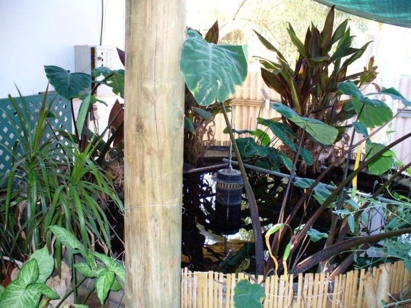 23 Consols Road, Meekatharra WA 6642