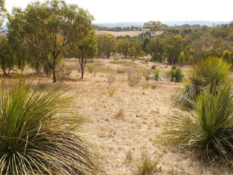PAECHTOWN -, Hahndorf SA 5245