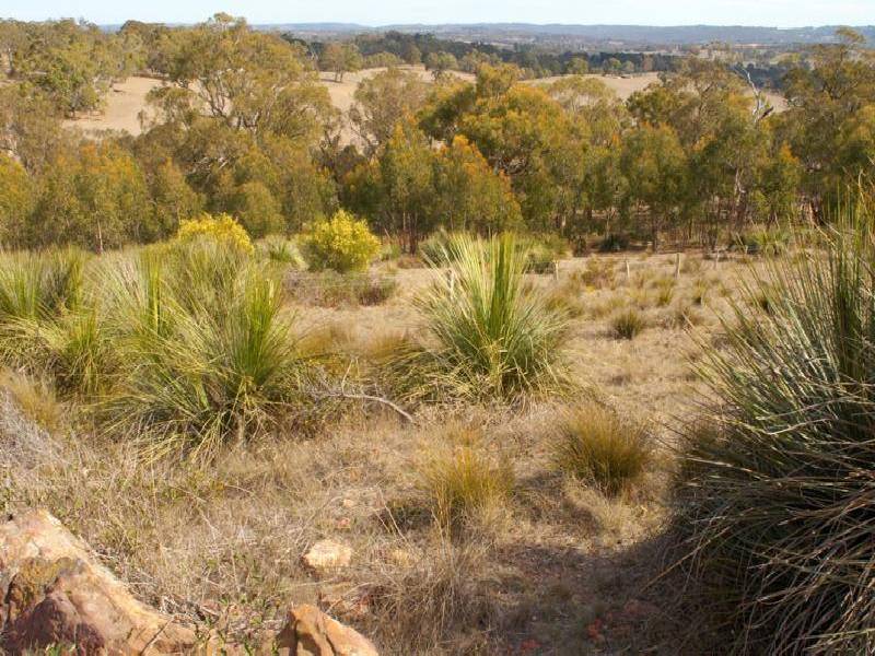 PAECHTOWN -, Hahndorf SA 5245