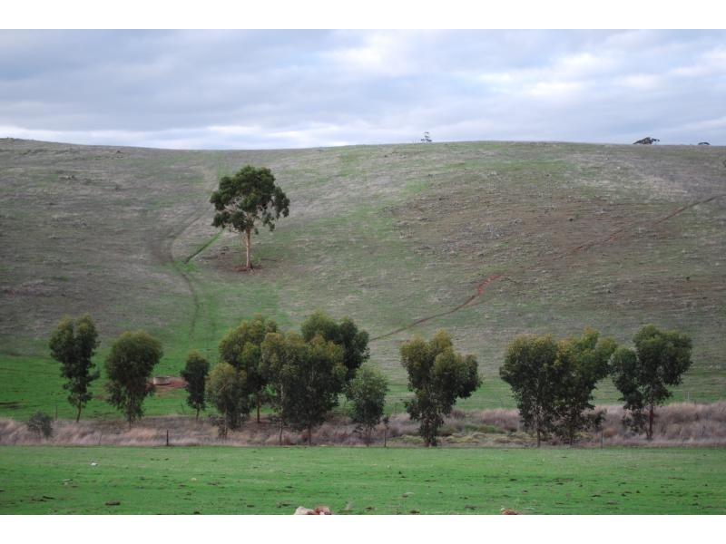 Lot 41/ Scrubby Hill Rd, Highland Valley SA 5255