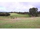 Lot 12/ Cattle Route Road, Mount Barker SA 5251