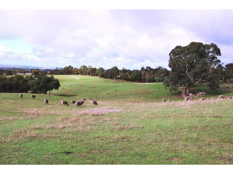 Lot 12/ Cattle Route Road, Mount Barker SA 5251