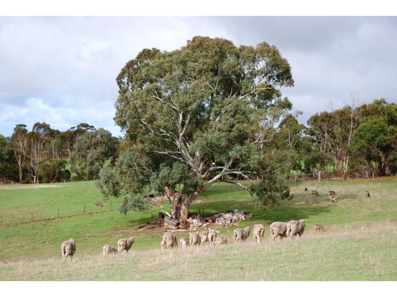 Lot 12/ Cattle Route Road, Mount Barker SA 5251