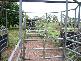 MARYFIELD STATION,, Larrimah NT 0852